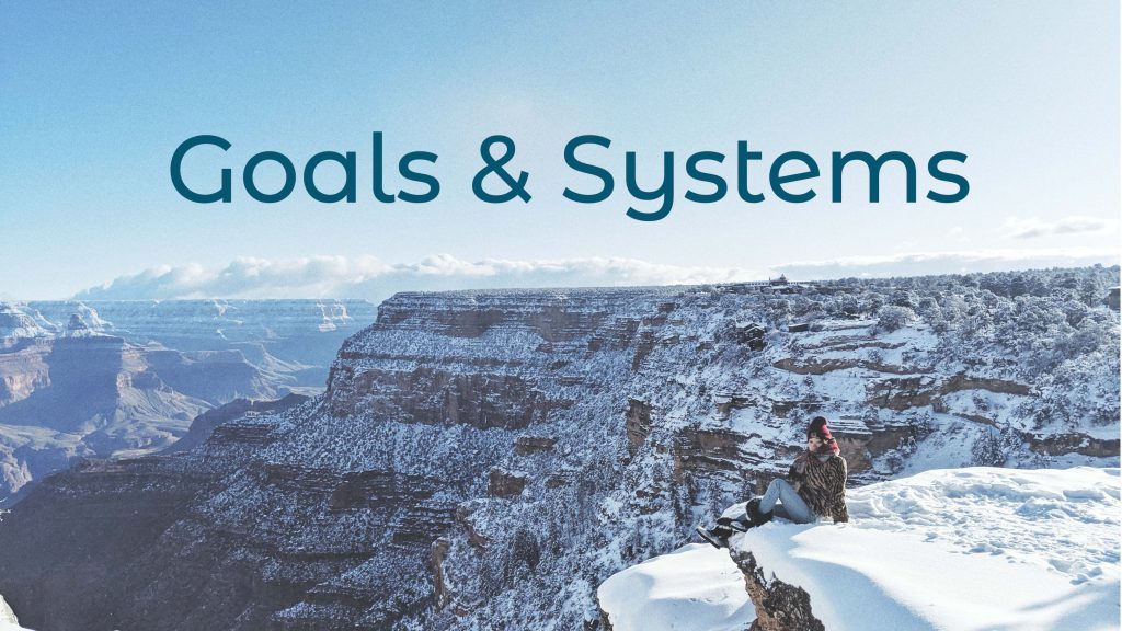 goals and systems